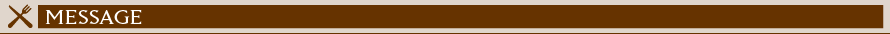 MESSAGE